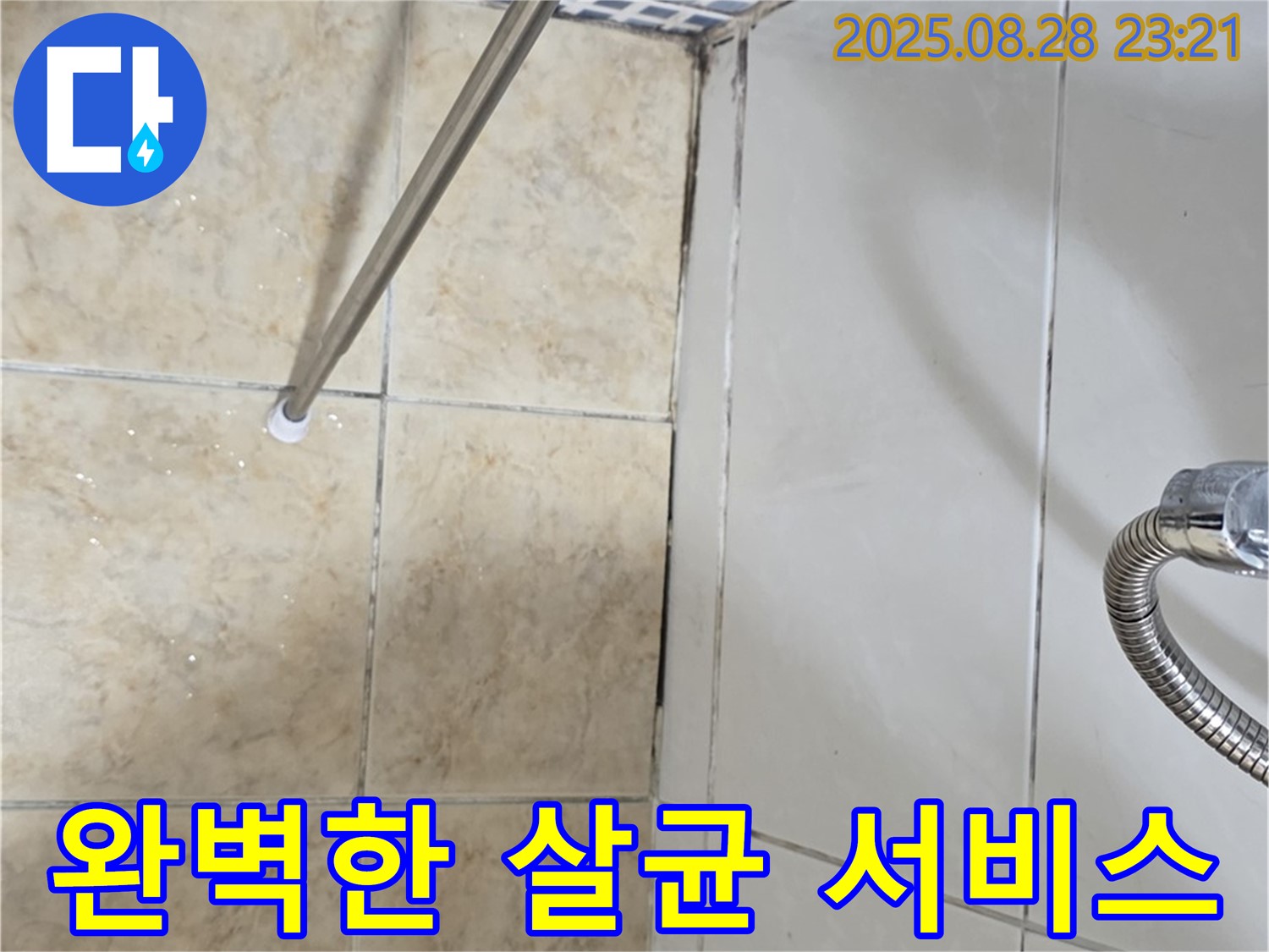 욕실 곰팡이 - 완벽한 살균 서비스 제공