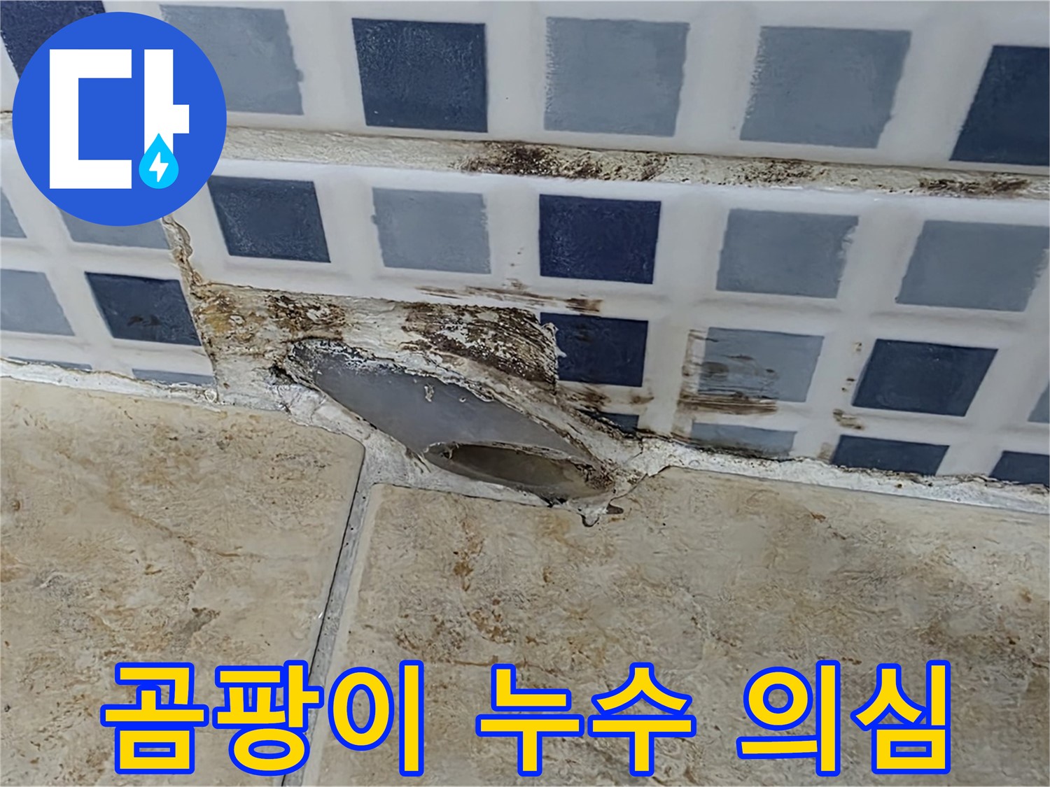 욕실 배수구 주변 곰팡이 - 누수 가능성을 의심해야 합니다.