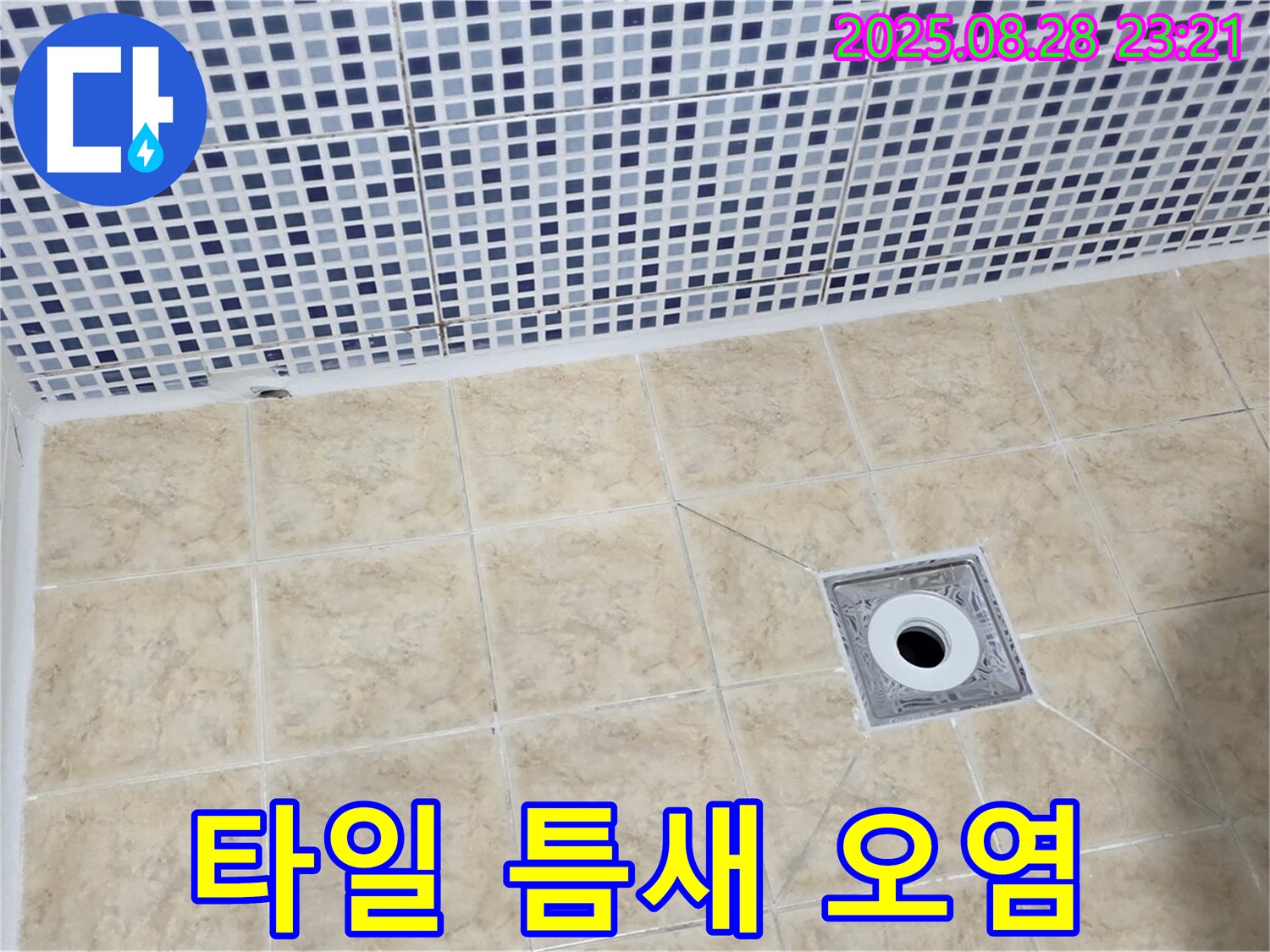 욕실 배수구 - 주변 타일 틈새 오염