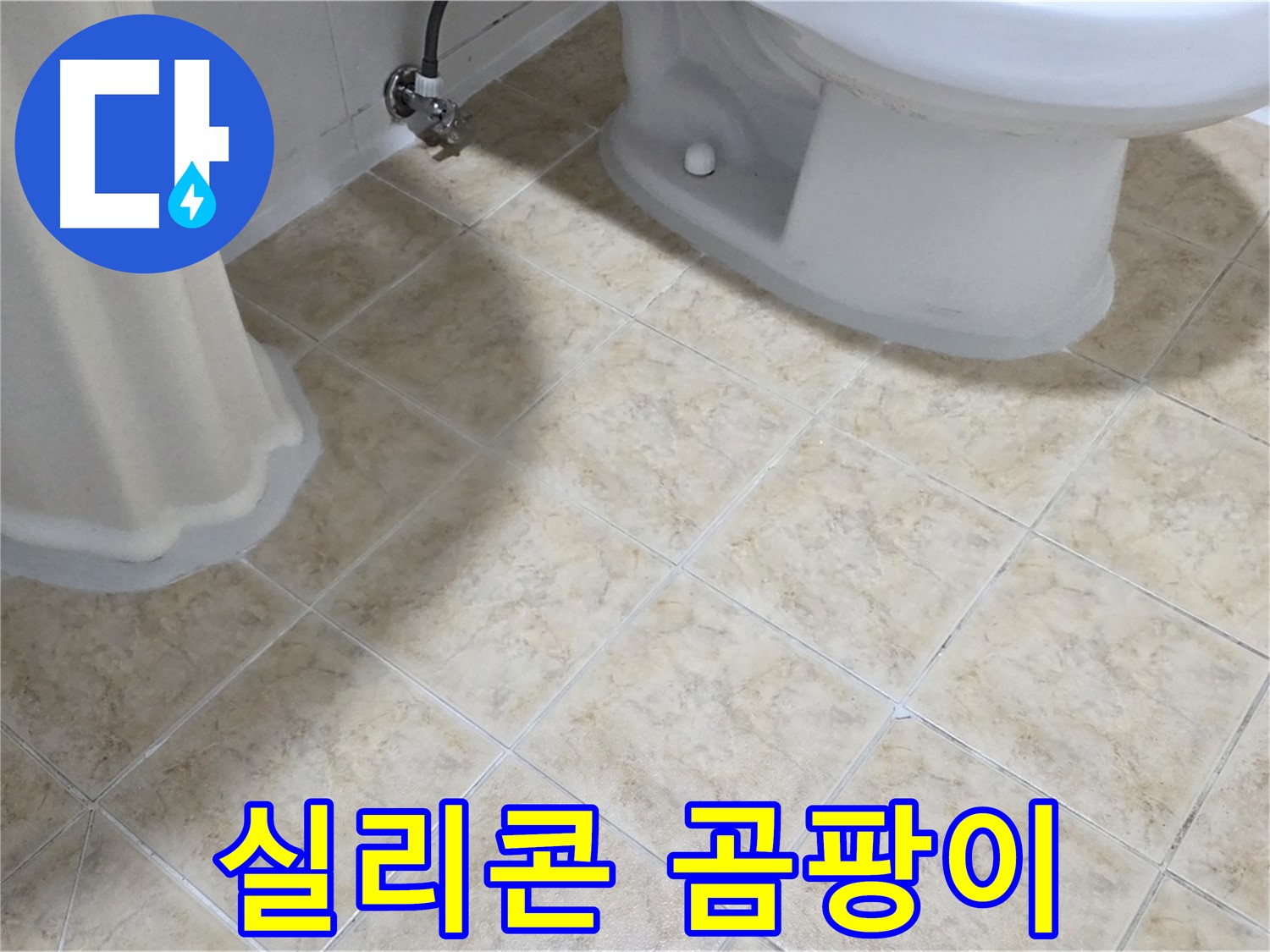 욕실 실리콘 곰팡이 - 누수 연관성 확인