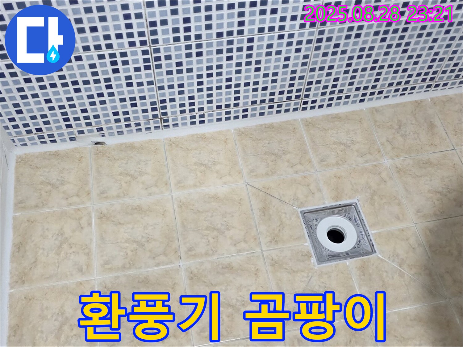 욕실 환풍기 - 주변 곰팡이 발생