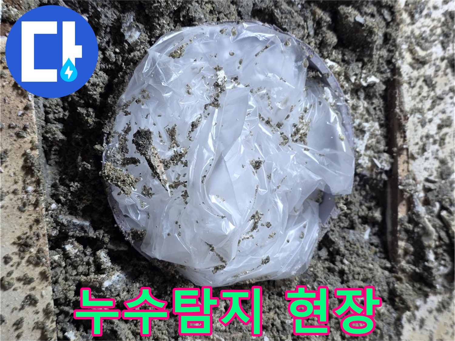 중랑구 묵동 누수탐지 현장 - 문제 해결을 위한 꼼꼼한 점검