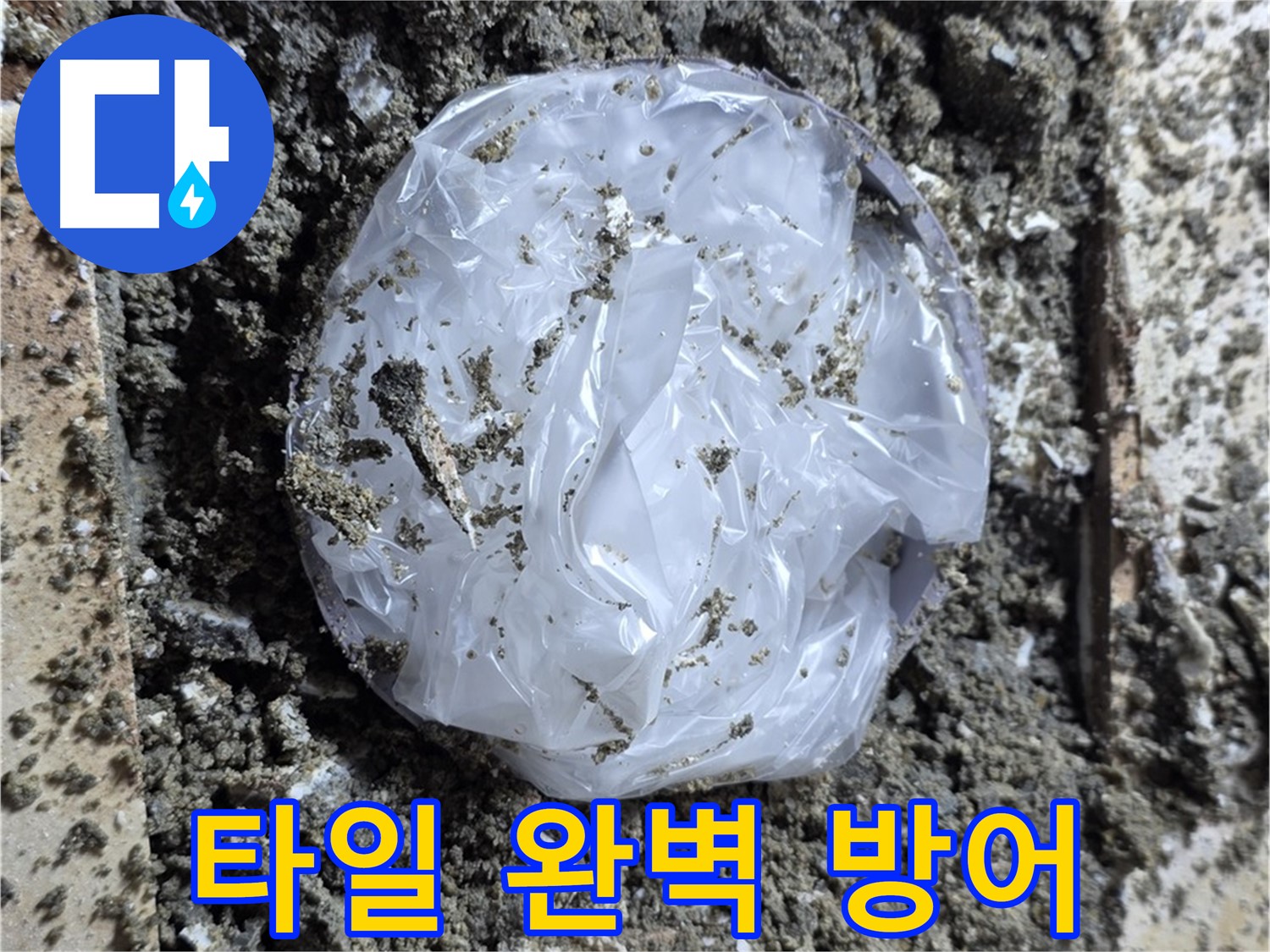 중랑구 묵동 타일 완벽 방어 - 누수와의 전쟁에서 승리!
