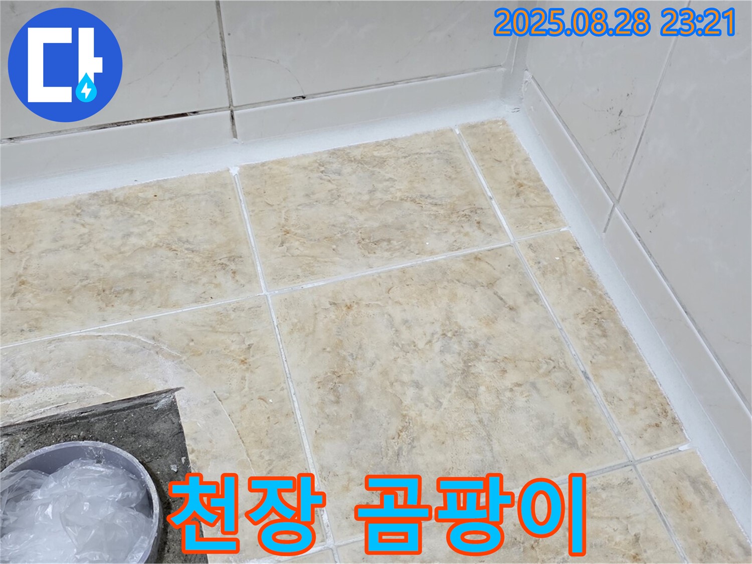 천장 곰팡이 - 친환경 제거