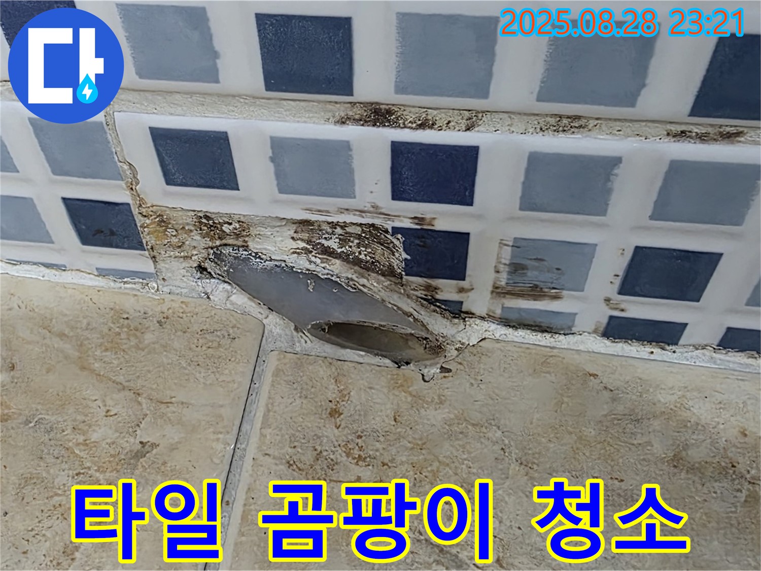 타일 곰팡이 - 청소