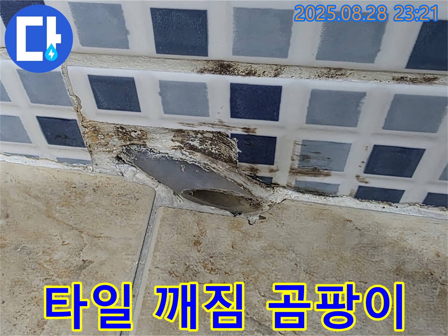 타일 깨짐 - 곰팡이 - 긴급