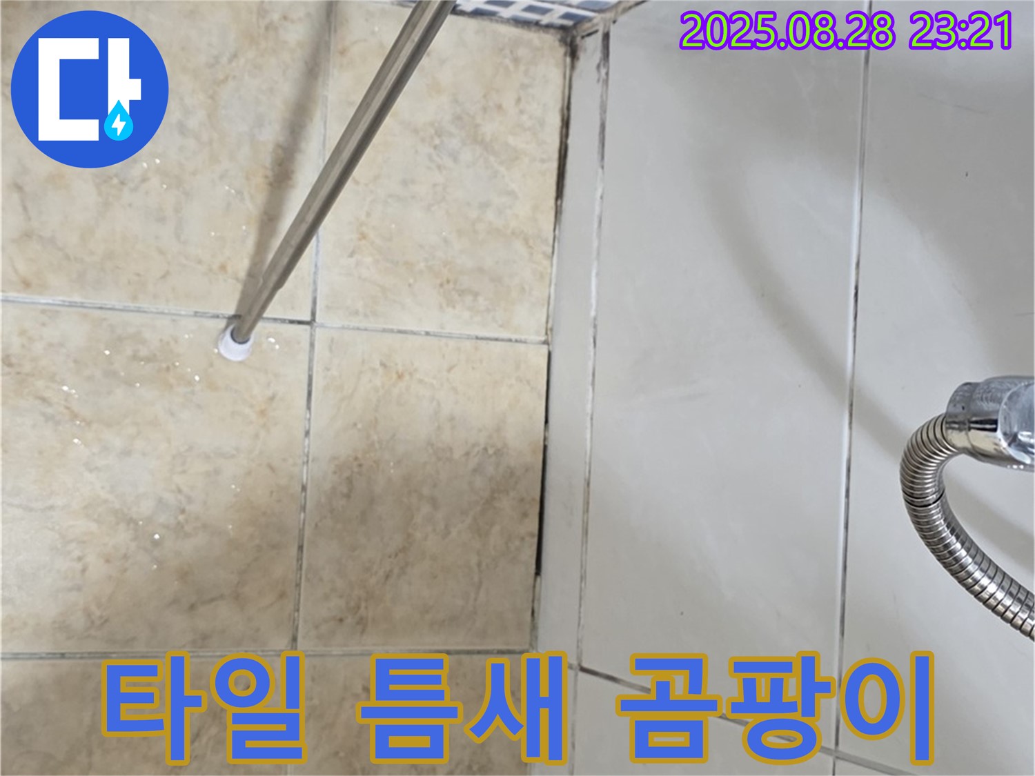 타일 틈새 곰팡이 - 곰팡이 제거 및 방수 시공