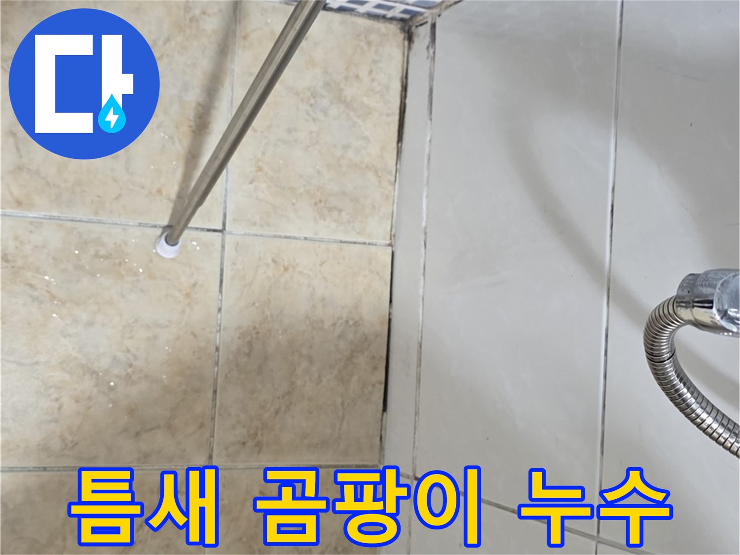 타일 틈새 곰팡이 - 누수 신호 - 주의 깊게 관찰