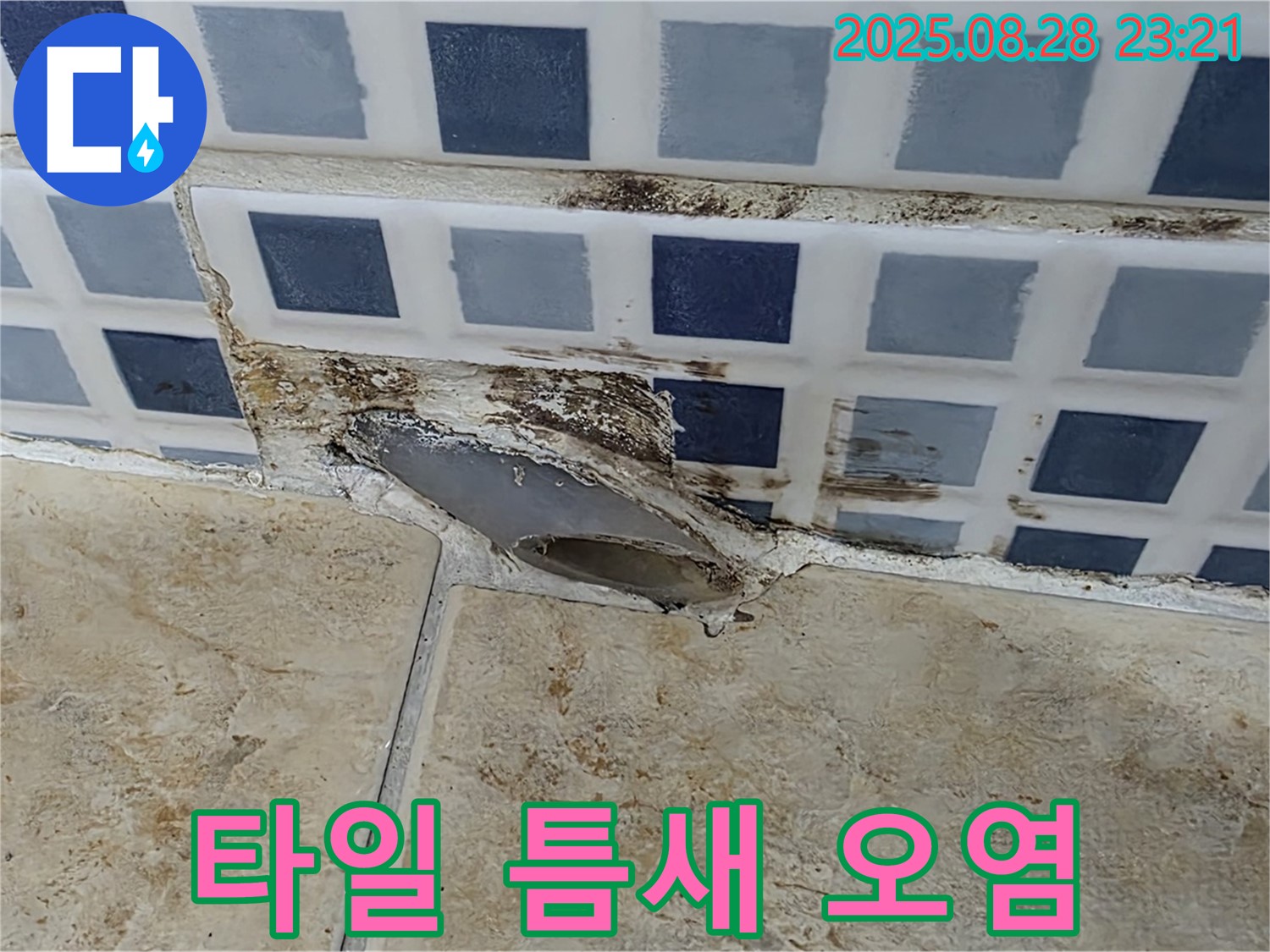 타일 틈새 - 곰팡이와 물때
