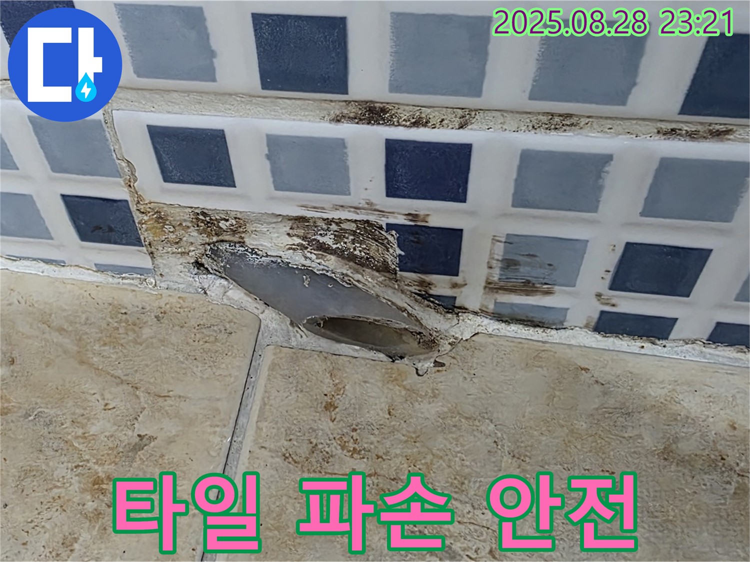 타일 파손 - 곰팡이 - 안전 문제 해결