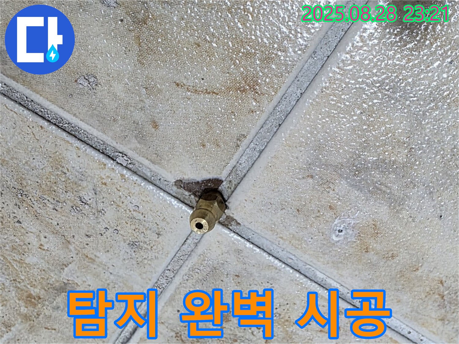 탐지 완벽 시공 - 한 번에
