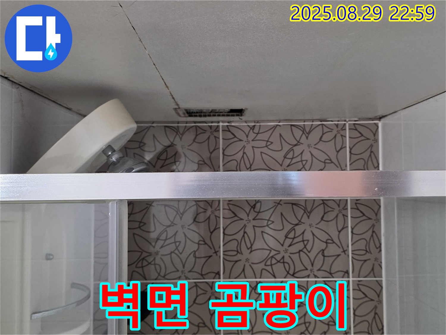 백석 서광아파트 104동 욕실 - 샤워기 벽면 고정 부위 실리콘 오염 및 곰팡이 점검 사진