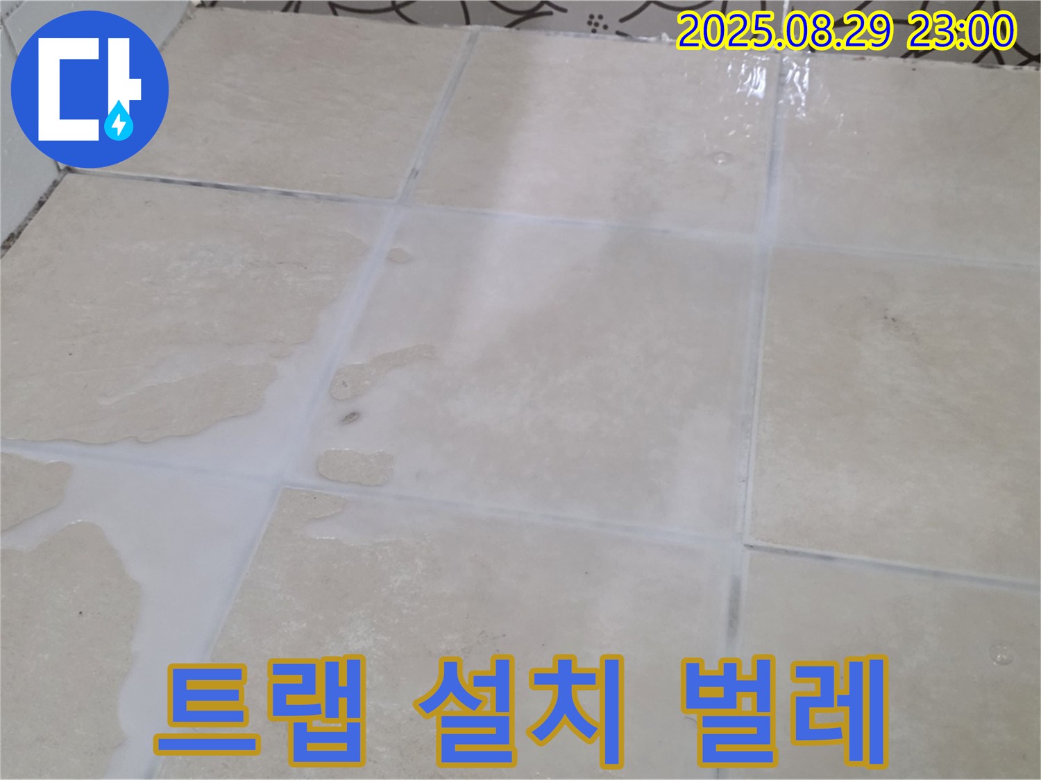 백석읍 서광아파트 싱크대 - 배수구 트랩 설치 후 벌레 걱정 ZERO