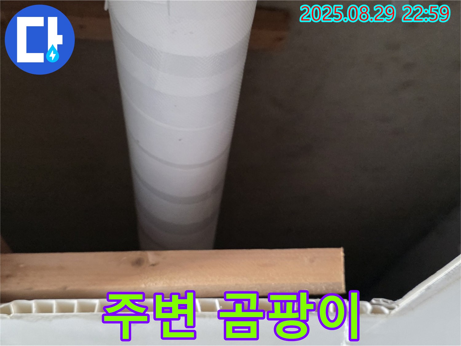 양주 누수 - 백석읍 서광아파트, 천장 배관 주변 곰팡이 꼼꼼하게 확인