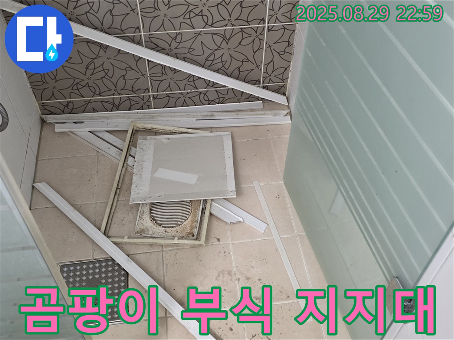 양주 백석 서광아파트 욕실 - 곰팡이가 심하게 핀 천장재와 부식된 천장 지지대가 눈에 띕니다.