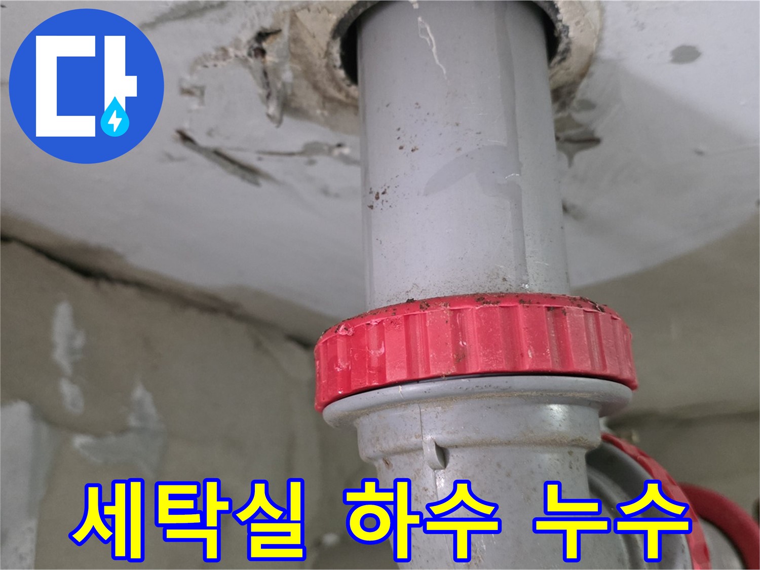 양주 백석읍 서광아파트 세탁실 하수구 누수 - 붉은색 잠금 너트 부위 의심