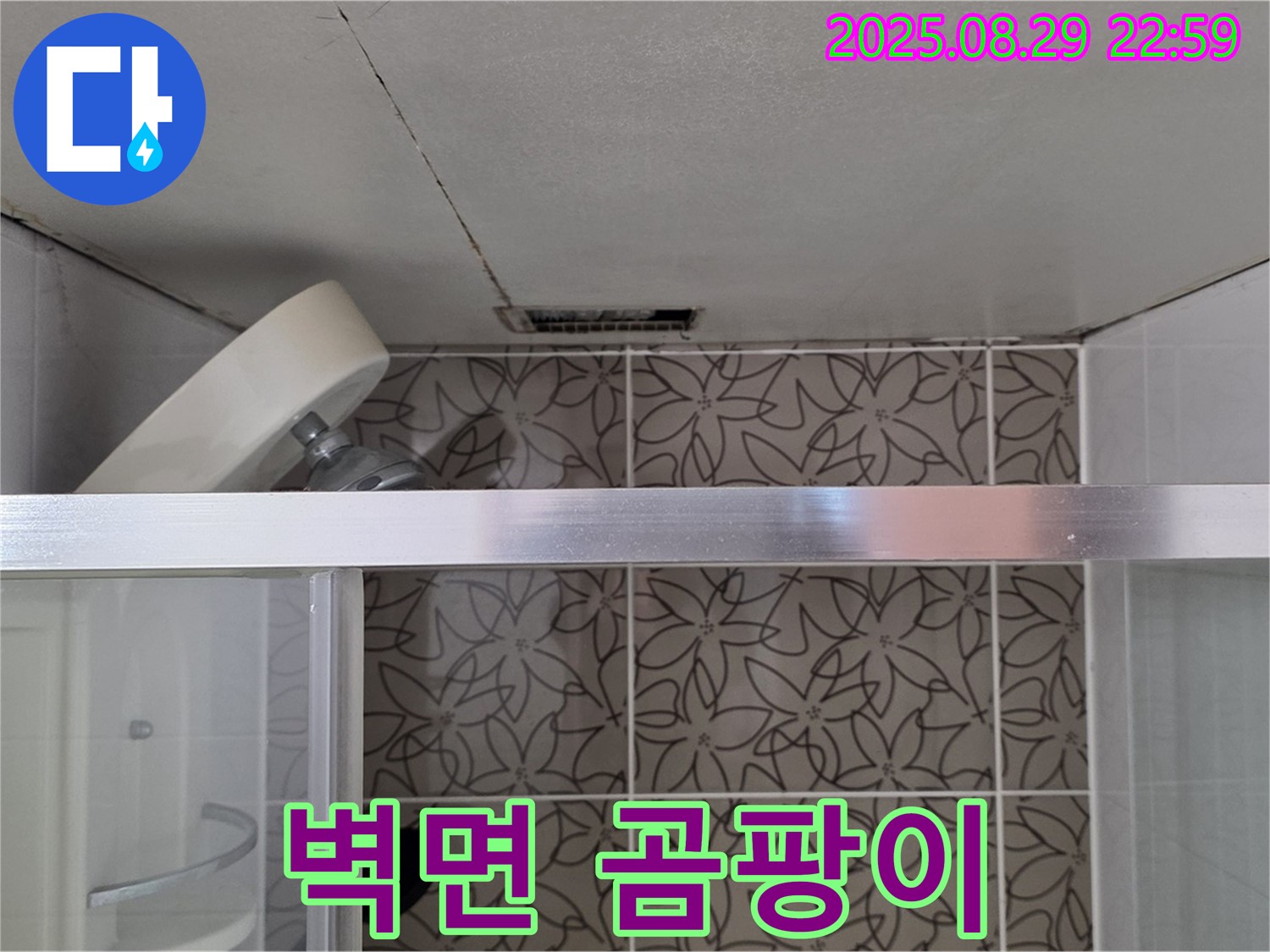 양주시 백석읍 서광아침의빛아파트 욕실 - 샤워기 벽면 고정 부위 틈새 및 곰팡이 점검 사진