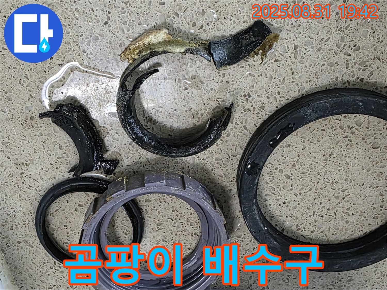 곰팡이와 악취 배수구 - 긴급