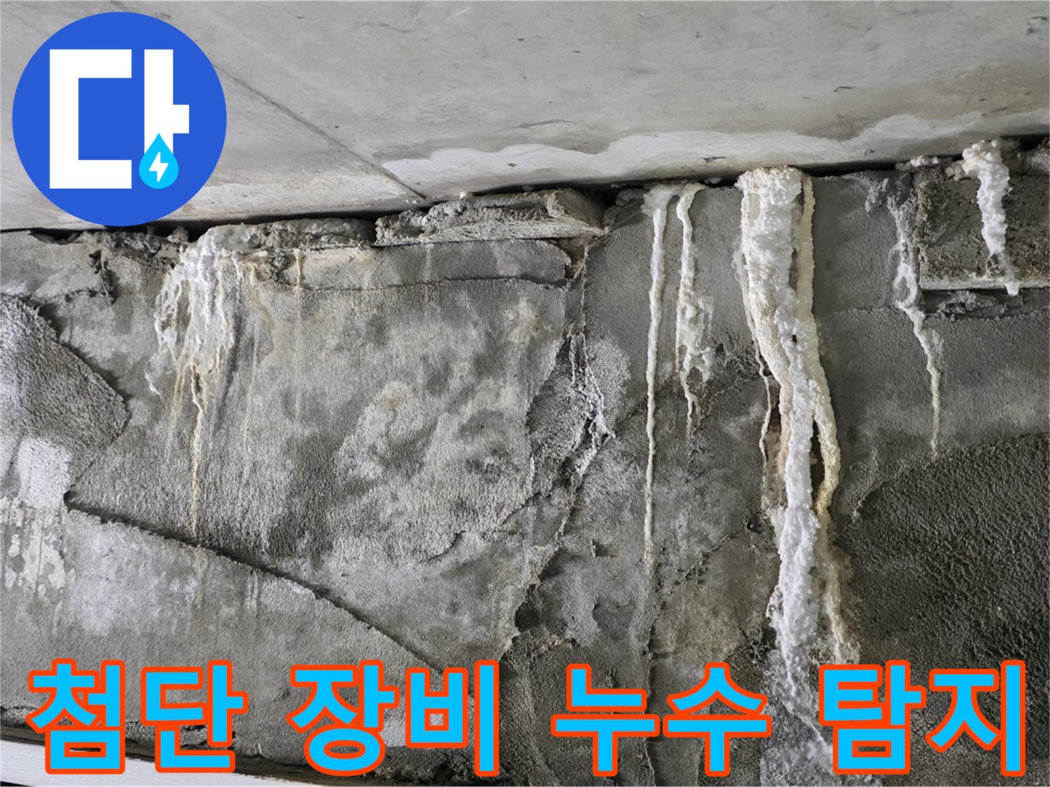 분당 누수 탐지 - 첨단 장비로 숨은 누수 완벽 탐지