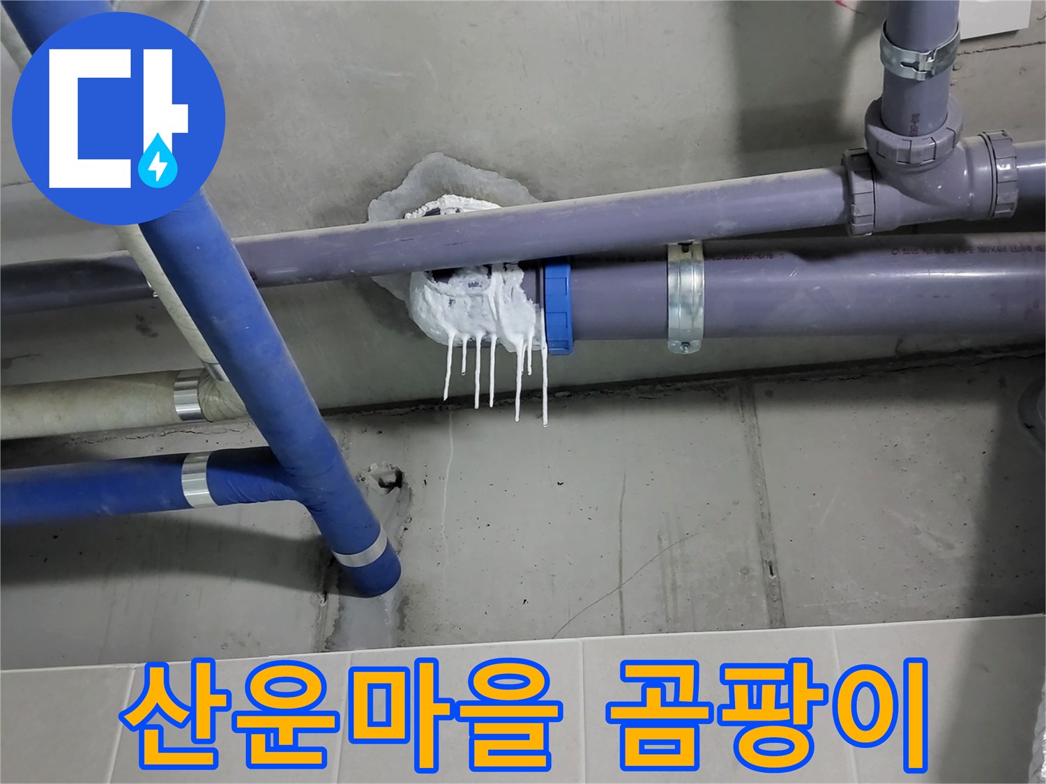 분당 산운마을 하수 누수 - 곰팡이 냄새 심함