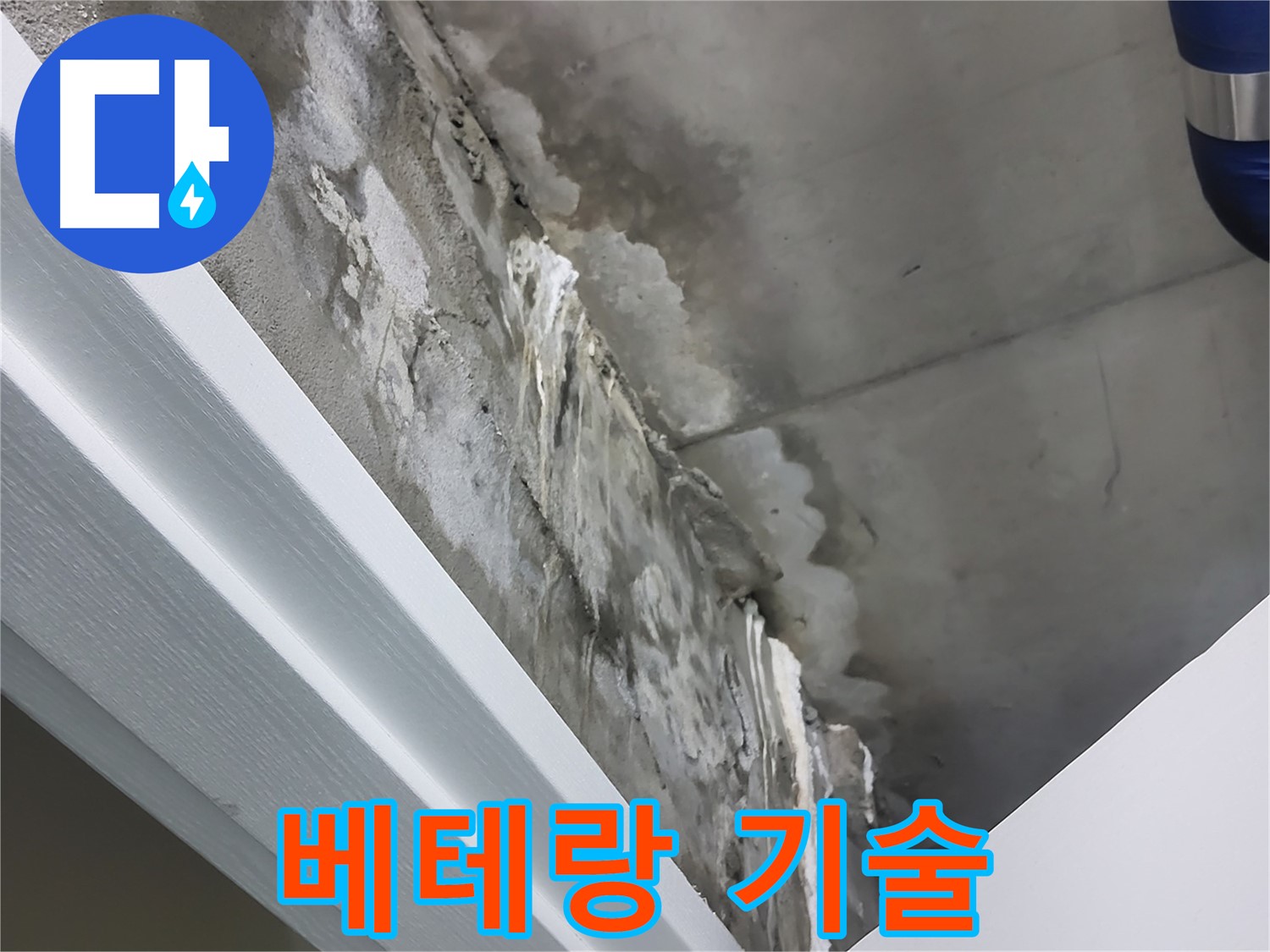 분당 운중동 산운마을 누수 - 베테랑 기술자의 꼼꼼한 시공