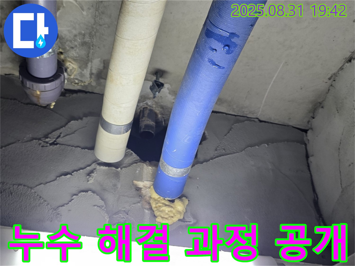 분당 운중동 산운마을 누수 - 전문가의 누수 해결 과정 상세 공개