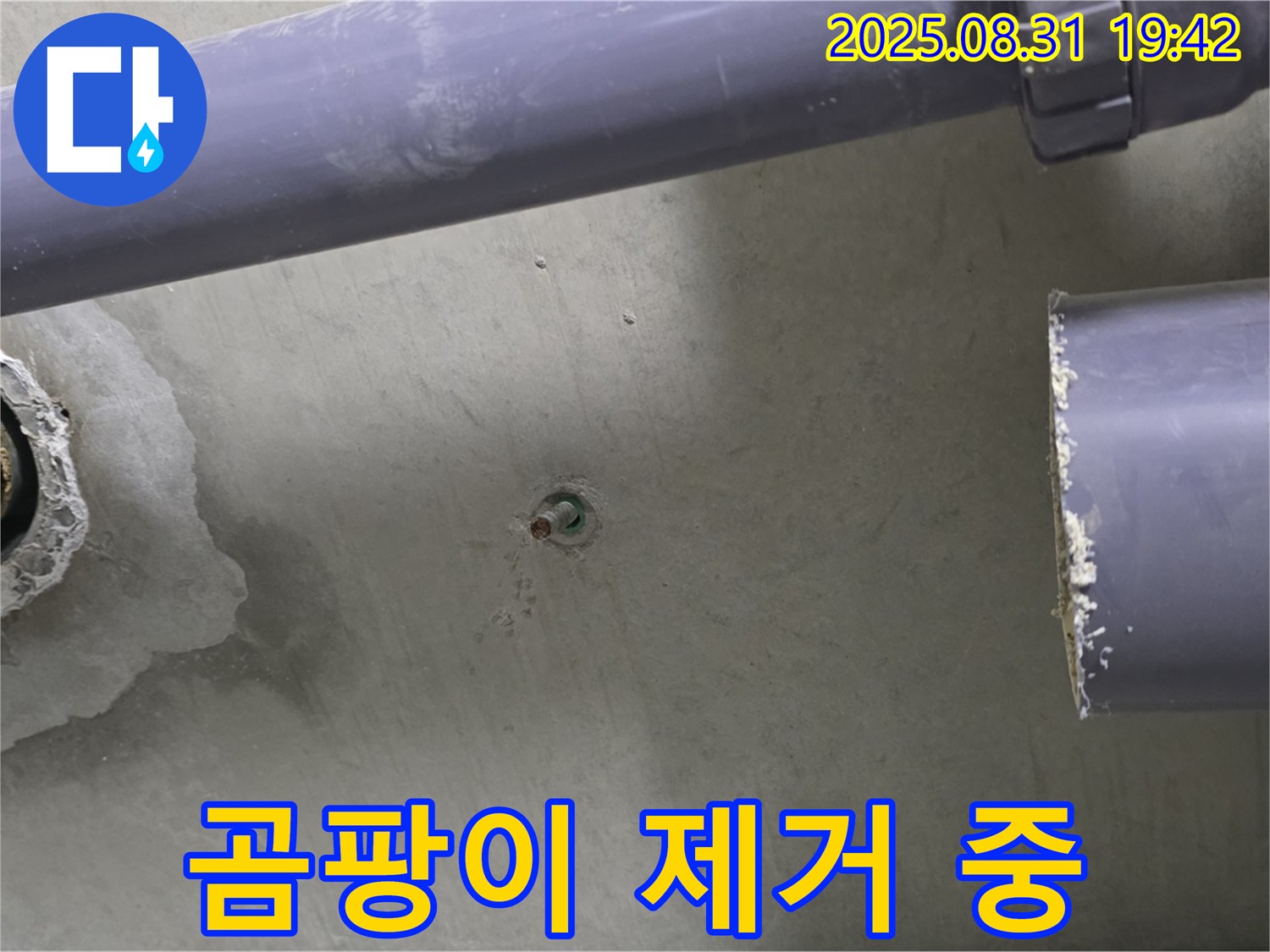 분당 운중동 산운마을 아파트 누수 - 배관 연결 부위 주변의 곰팡이를 깨끗하게 제거하고 있습니다.