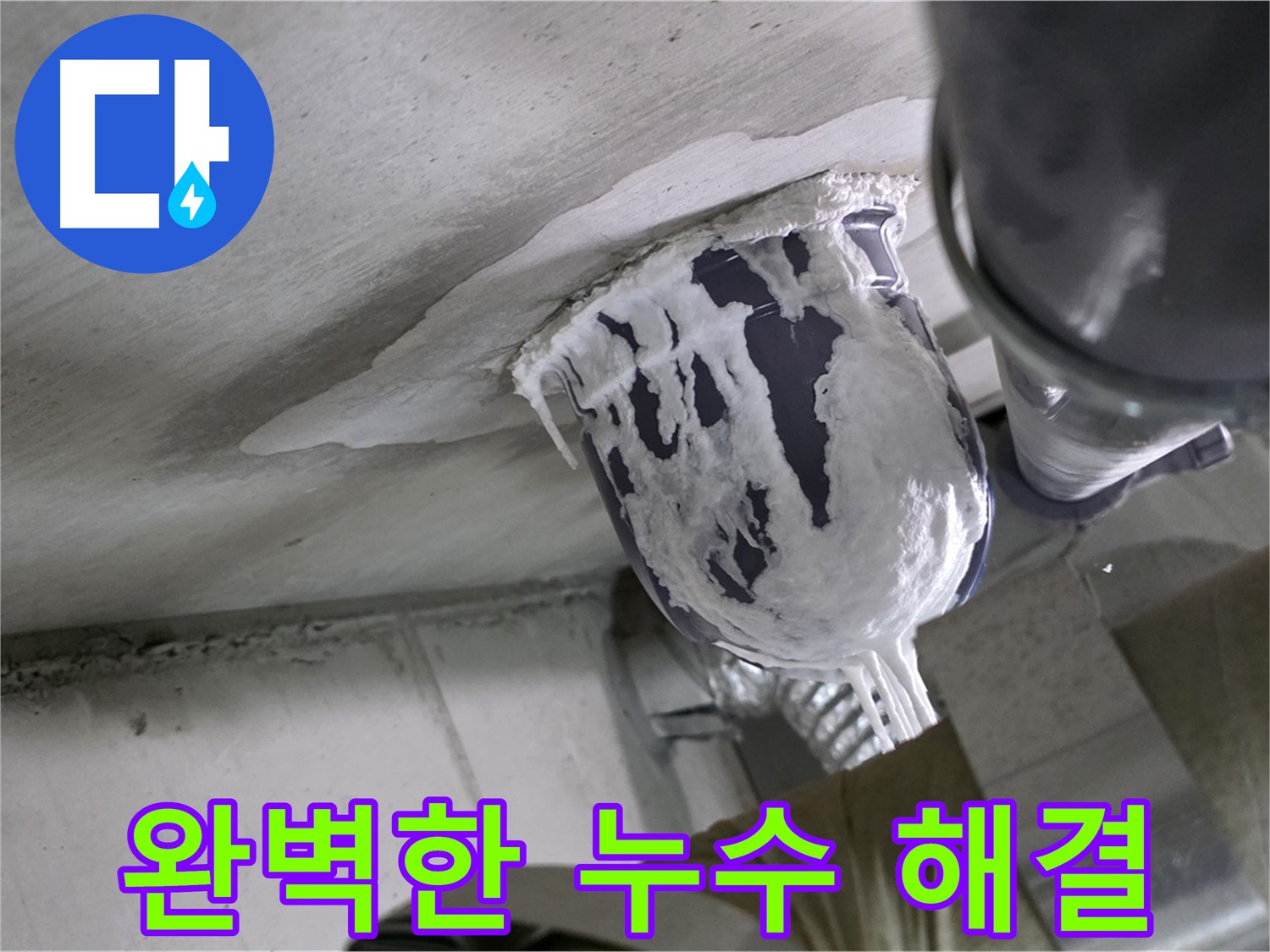 분당 운중동 산운마을 - 완벽한 누수 해결로 고객 만족 극대화