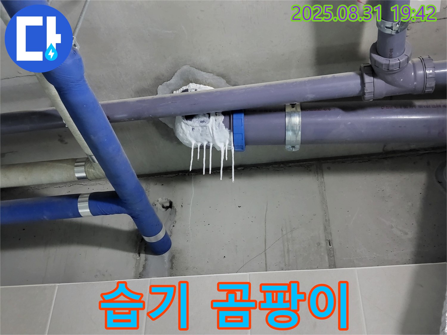 분당 운중동 산운마을 욕실 누수 - 주변 습기로 인한 곰팡이 발생 확인