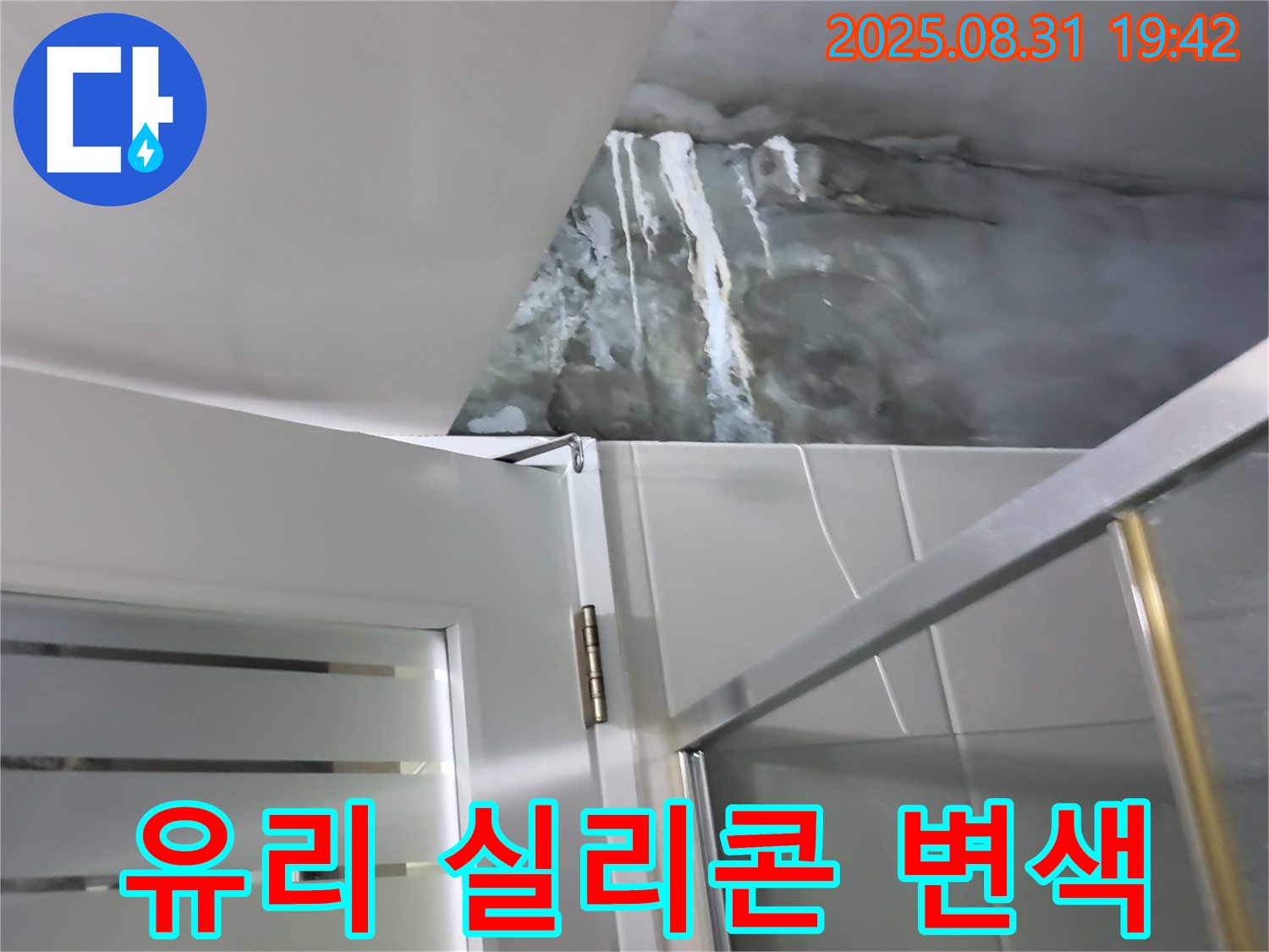 분당 운중동 - 샤워부스 유리 고정 실리콘 변색 - 곰팡이 발생 및 실리콘 재시공!