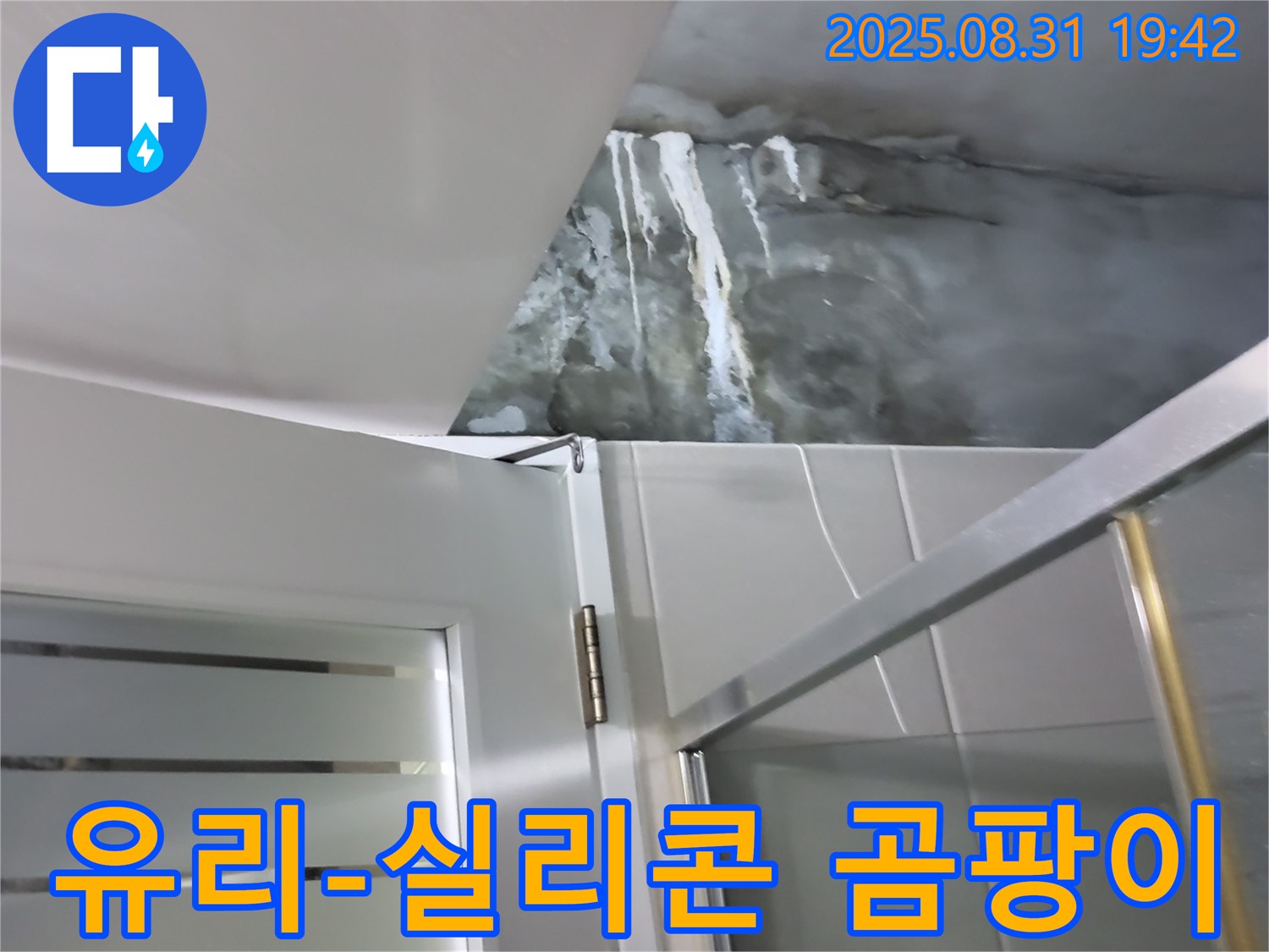 분당 운중동 - 샤워부스 유리와 실리콘 사이 곰팡이 - 곰팡이 제거 및 실리콘 재시공으로 깨끗하게!