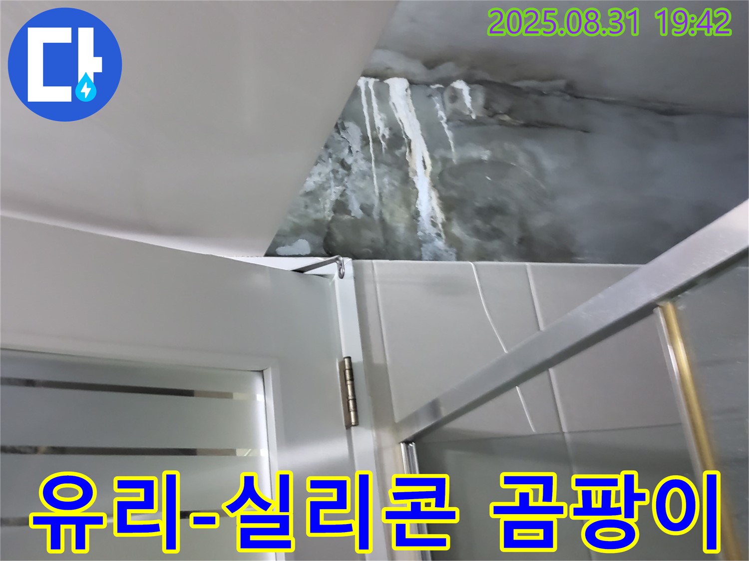 분당 운중동 - 샤워부스 유리와 실리콘 사이 곰팡이 - 곰팡이 제거 및 실리콘 재시공으로 깨끗하게!