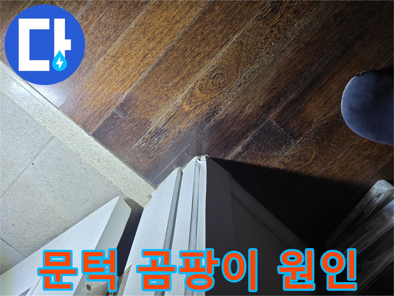 분당 운중동 아파트 누수 - 문턱 주변 곰팡이 발생 원인 찾기