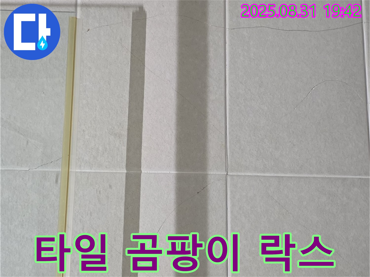 샤워기 옆 타일 사이 곰팡이 - 락스 청소 효과 있을까?
