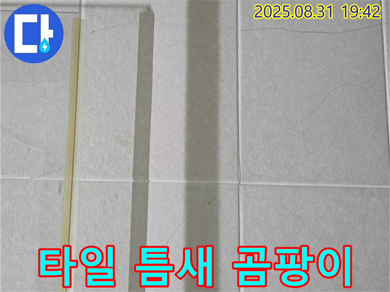 샤워기 옆 타일 틈새 - 곰팡이 완전 소탕 작전 개시!