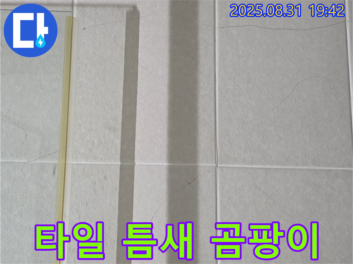 샤워기 옆 타일 틈새 - 곰팡이 자생력 테스트!