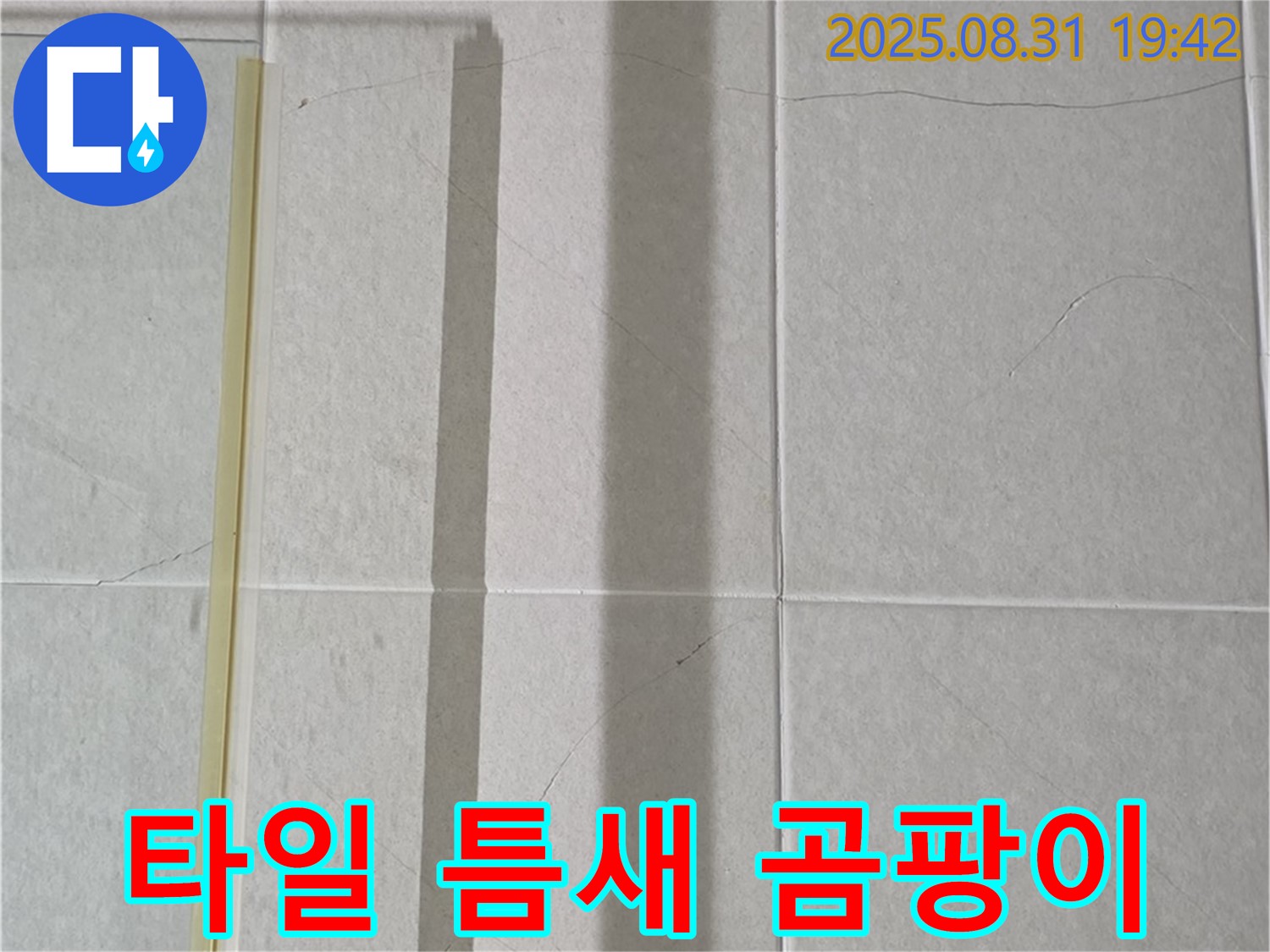샤워기 옆 타일 틈새 - 곰팡이와의 질긴 인연 끊기!