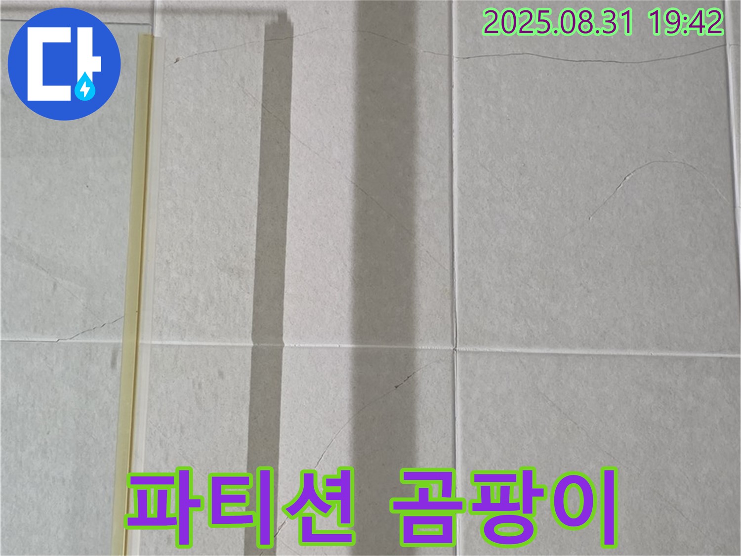 샤워기 파티션 - 곰팡이 놀이터로 전락?!