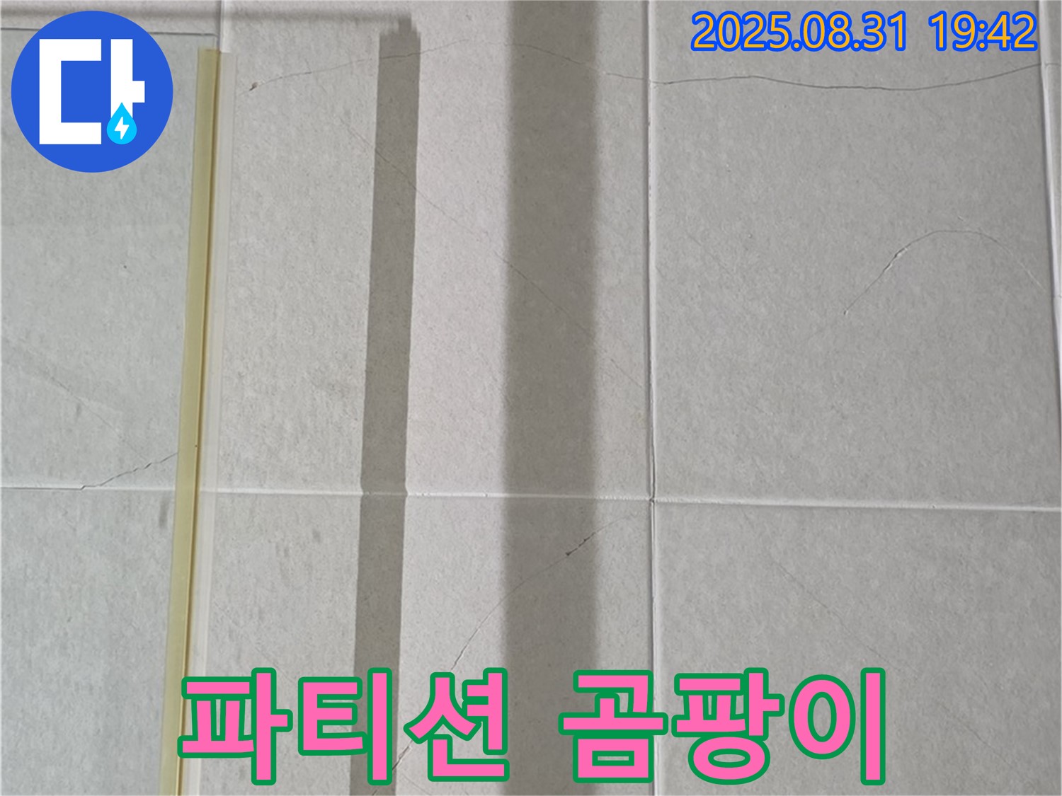 샤워기 파티션 - 곰팡이 블랙리스트 등극?!