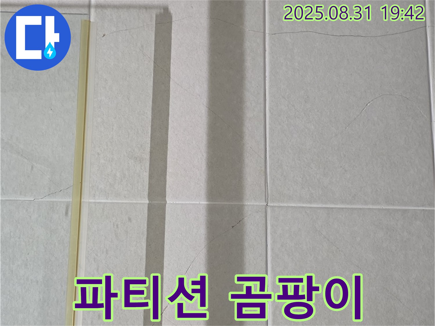 샤워기 파티션 - 곰팡이 식민지 확장 속도?!