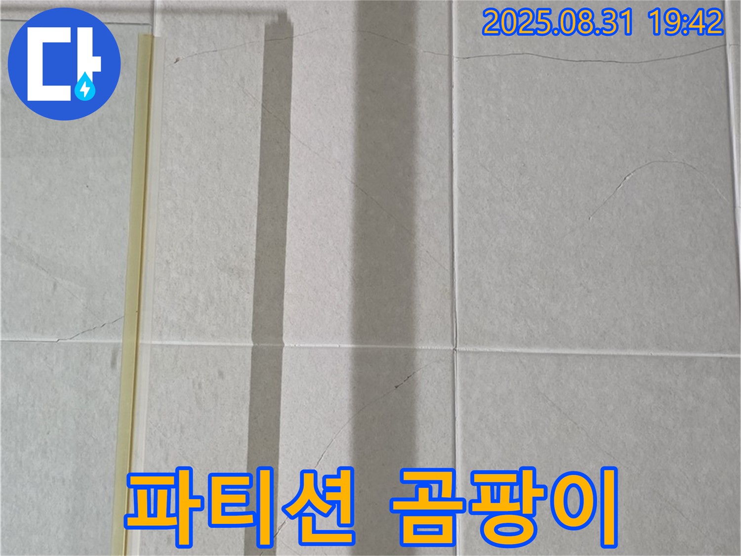샤워기 파티션 - 곰팡이 식민지 확장 중?!