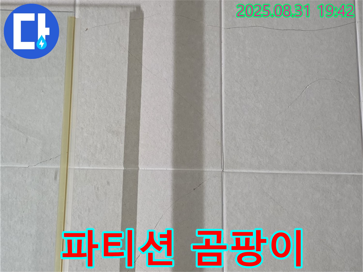샤워기 파티션 - 곰팡이 정글, 습기와 곰팡이의 콜라보!
