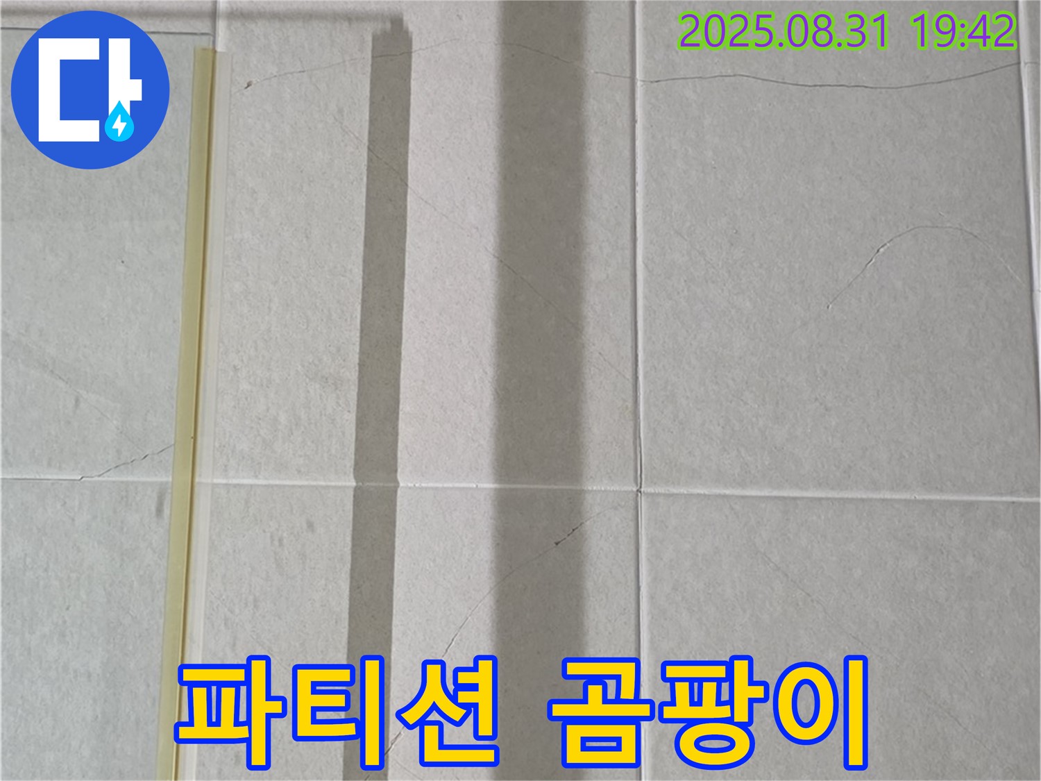 샤워기 파티션 - 곰팡이 테러 발생?!