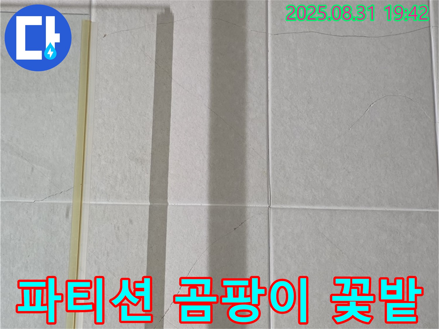 샤워기 파티션 실리콘 - 곰팡이 꽃밭으로 변신!