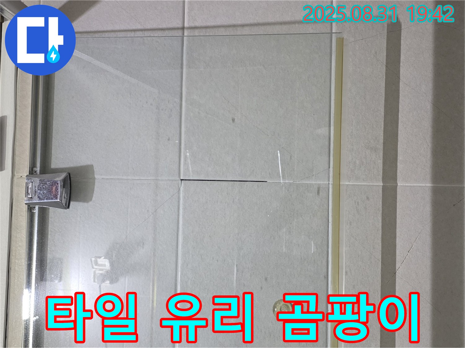 샤워부스 곰팡이 - 청결 유지가 중요!