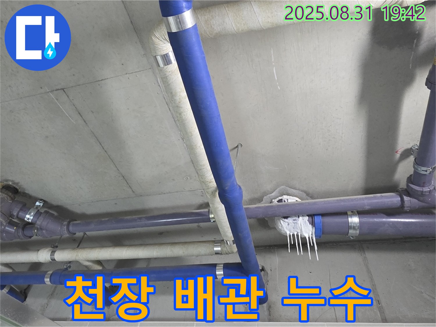 성남 분당 운중동 누수 - 천장 배관에서 누수 발생