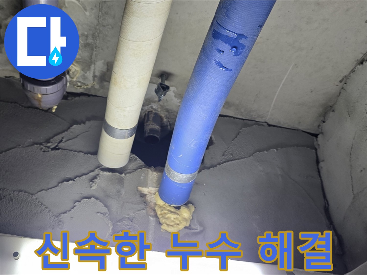 성남 분당 운중동 산운마을 6단지 누수 - 신속한 해결로 고객 만족