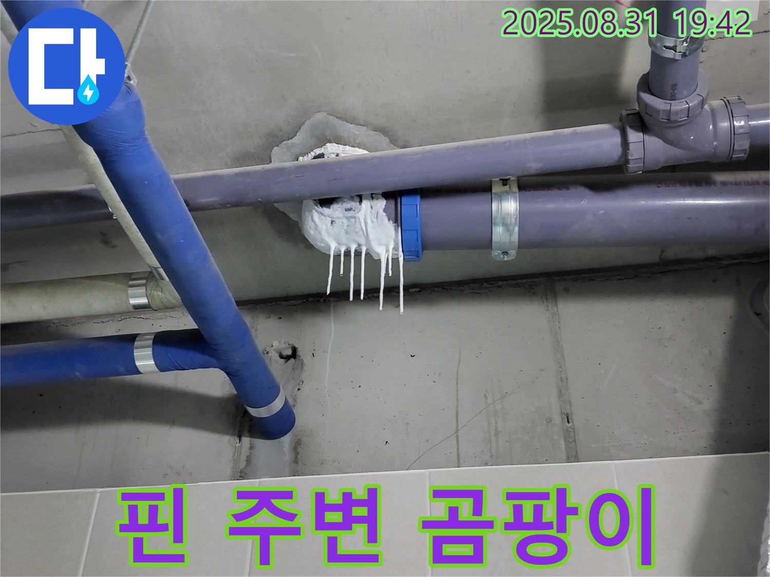 성남 분당 운중동 산운마을 욕실 누수 - 핀 시공 주변 곰팡이 발생 확인