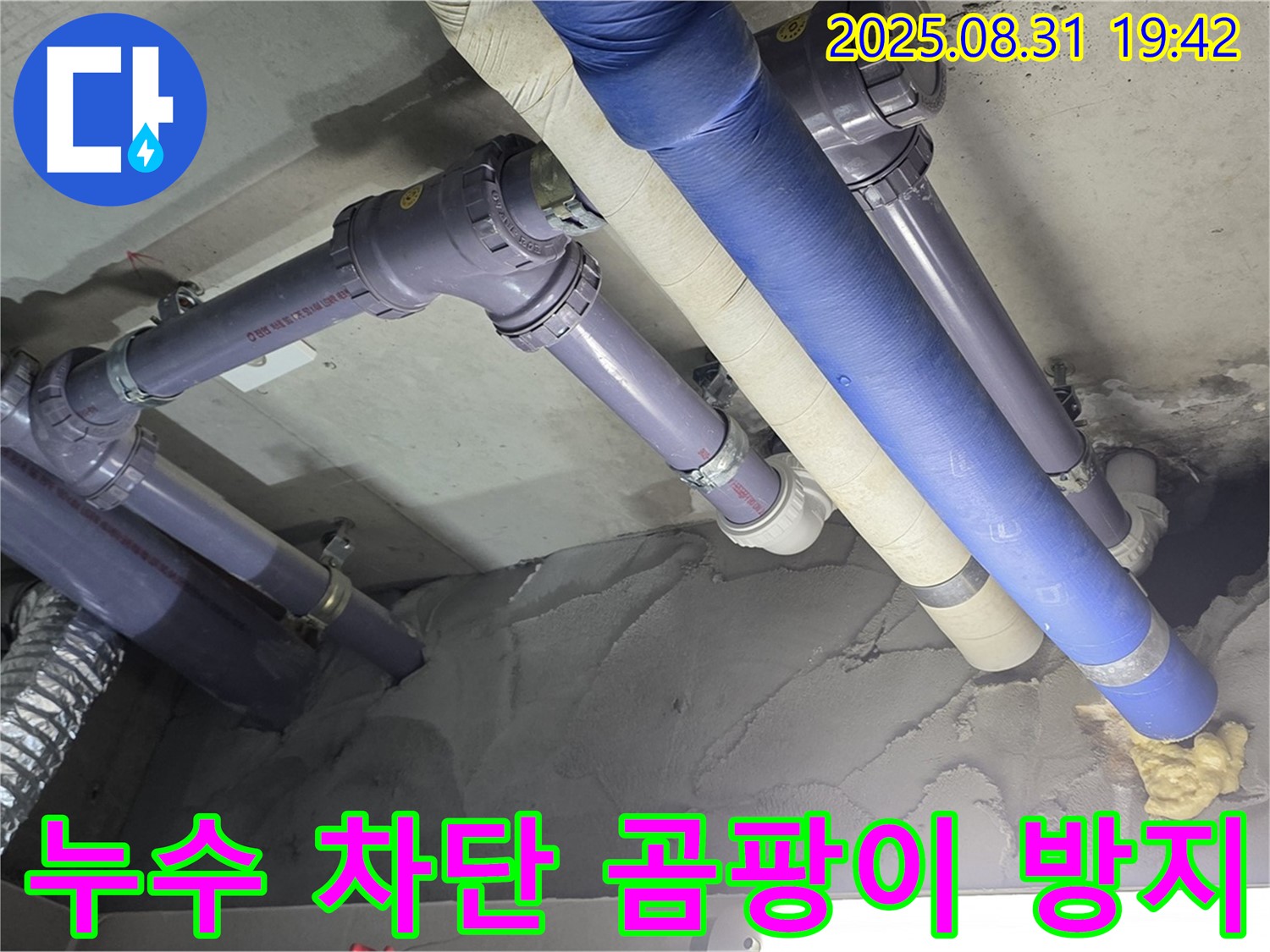 완벽한 누수 차단 - 곰팡이 걱정 뚝!
