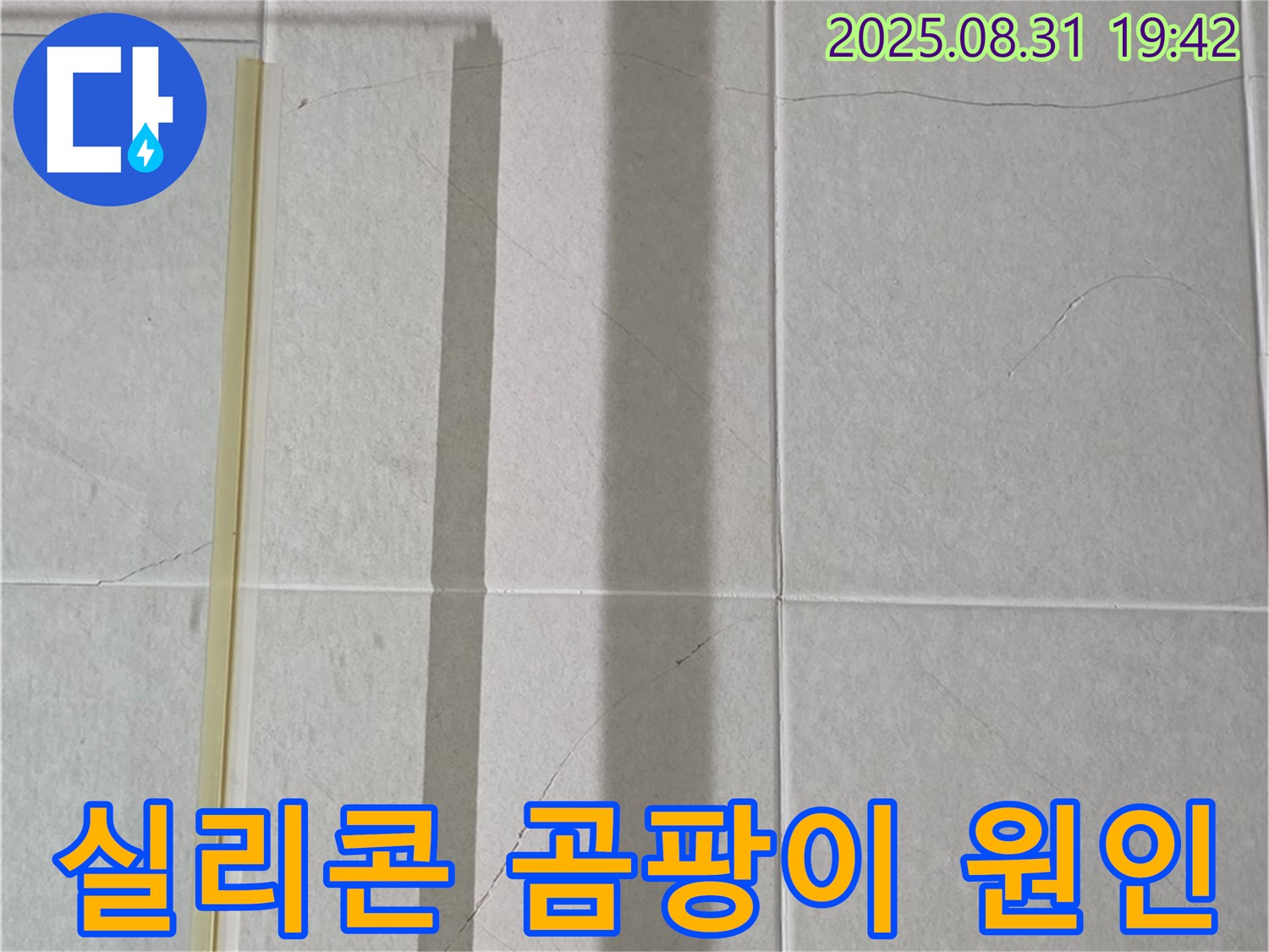 욕실 실리콘 곰팡이 - 왜 자꾸 생길까요?